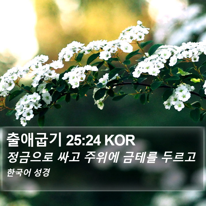 출애굽기 25:24 KOR Bible Study