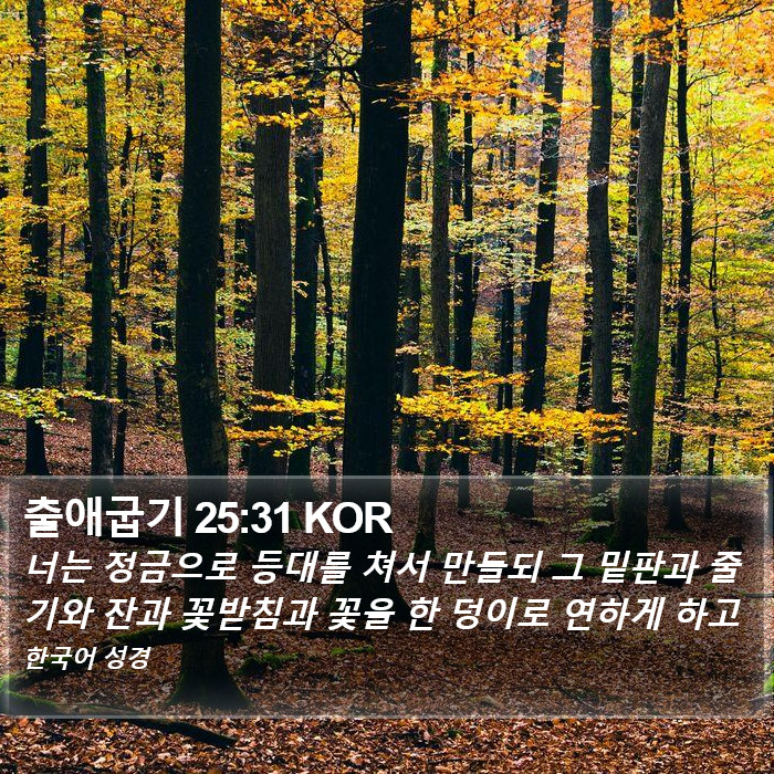 출애굽기 25:31 KOR Bible Study