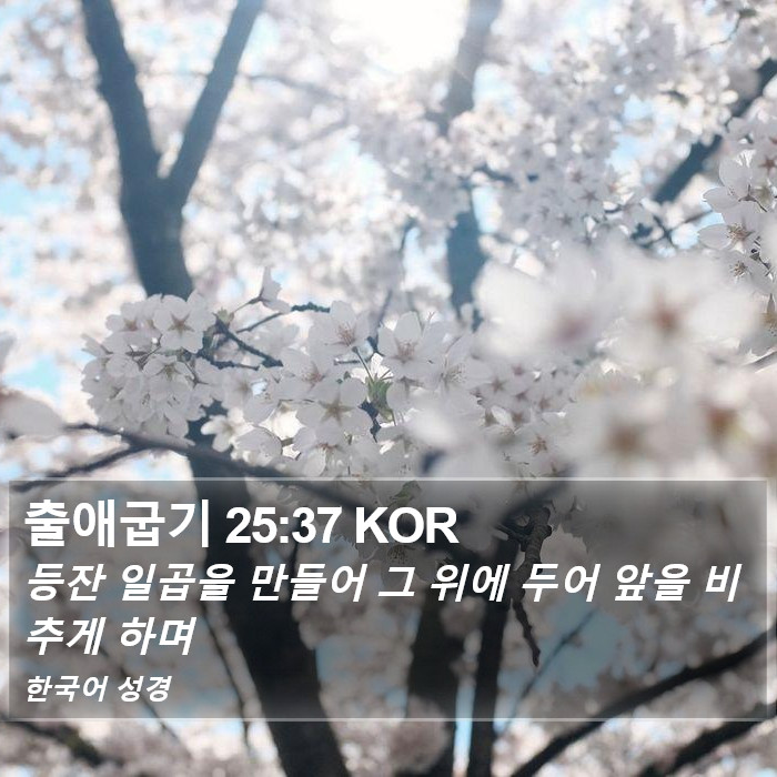 출애굽기 25:37 KOR Bible Study