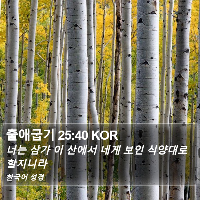 출애굽기 25:40 KOR Bible Study