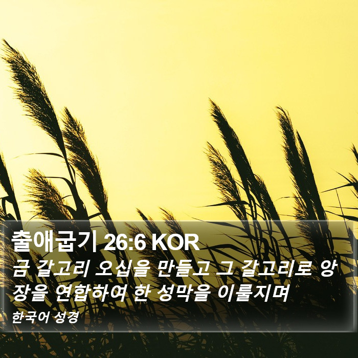 출애굽기 26:6 KOR Bible Study