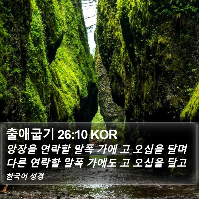 출애굽기 26:10 KOR Bible Study