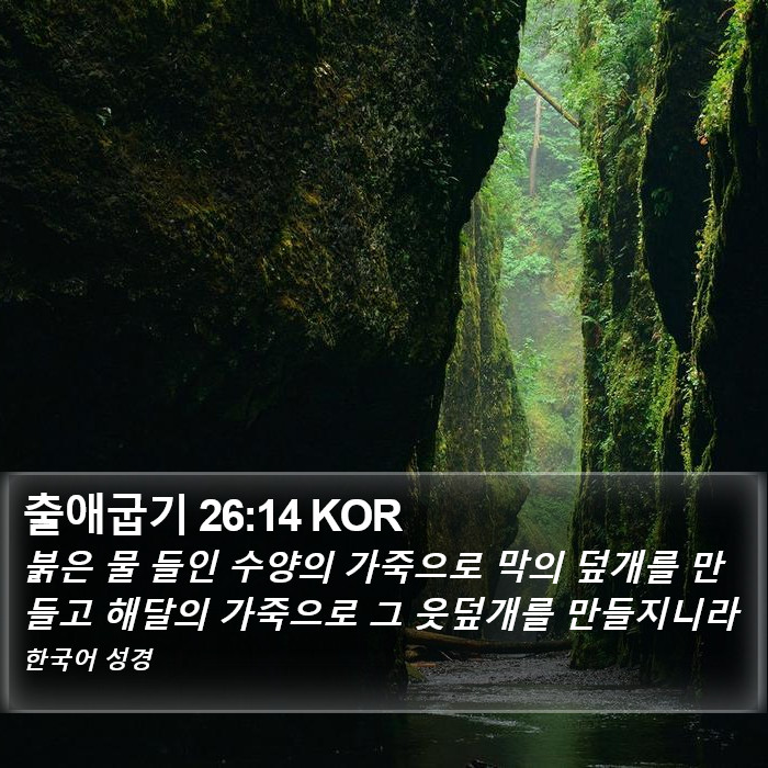 출애굽기 26:14 KOR Bible Study