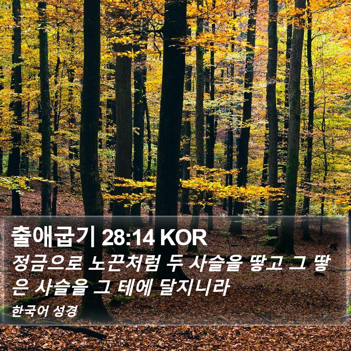 출애굽기 28:14 KOR Bible Study