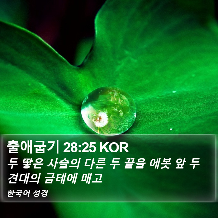 출애굽기 28:25 KOR Bible Study