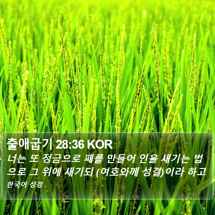 출애굽기 28:36 KOR Bible Study