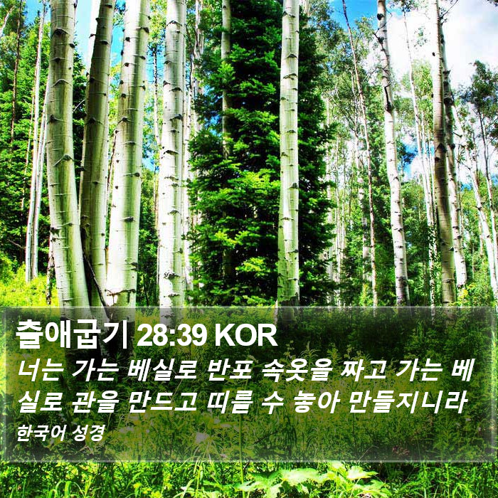 출애굽기 28:39 KOR Bible Study