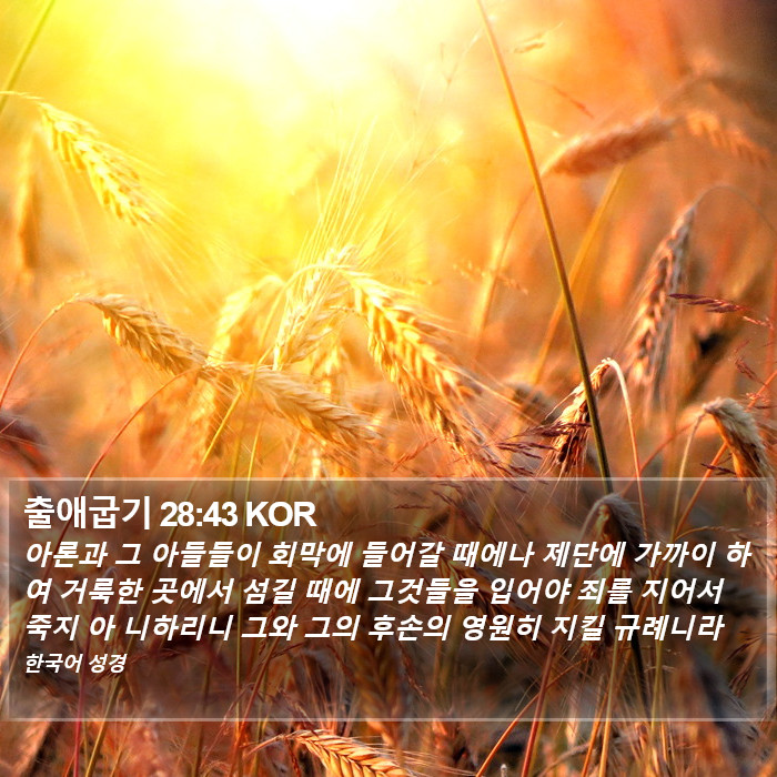 출애굽기 28:43 KOR Bible Study