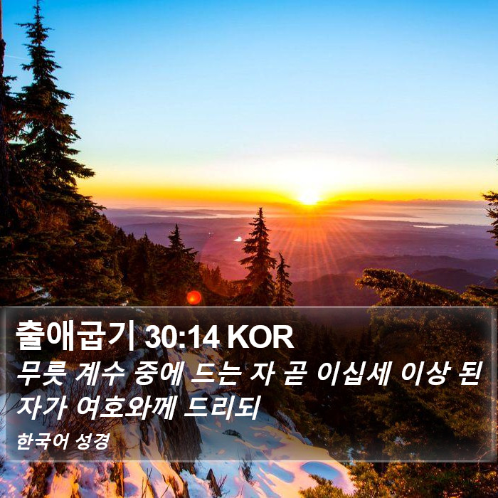 출애굽기 30:14 KOR Bible Study