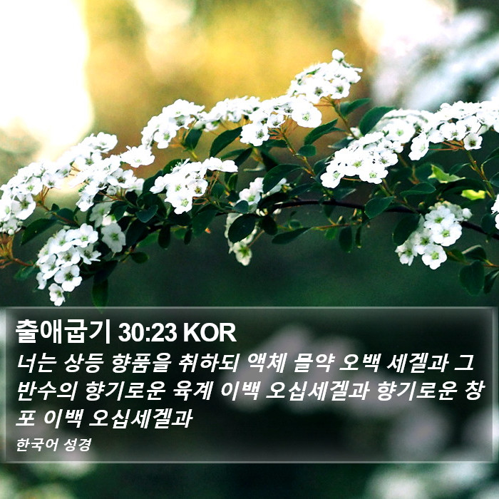 출애굽기 30:23 KOR Bible Study