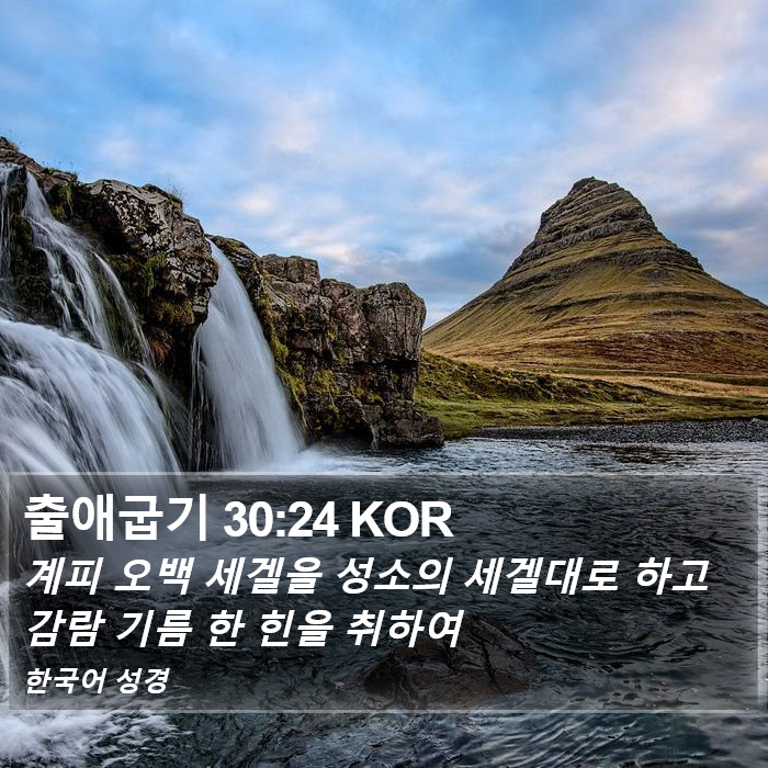 출애굽기 30:24 KOR Bible Study