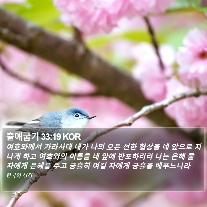 출애굽기 33:19 KOR Bible Study