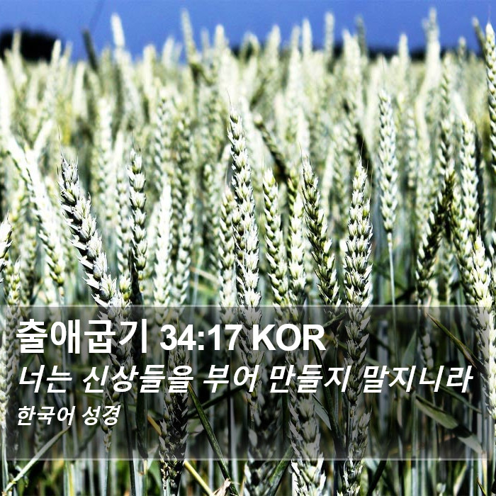 출애굽기 34:17 KOR Bible Study