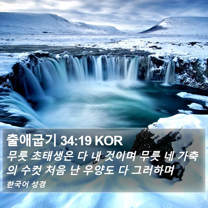 출애굽기 34:19 KOR Bible Study