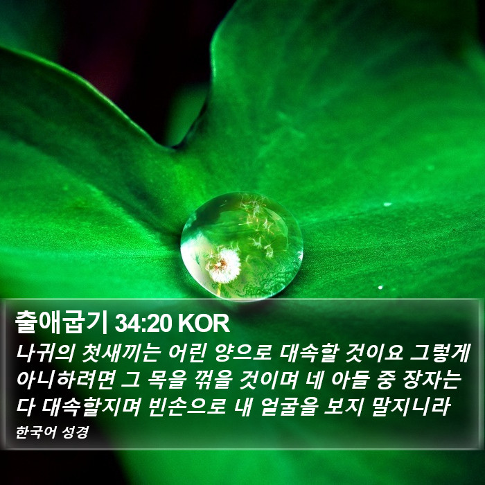 출애굽기 34:20 KOR Bible Study