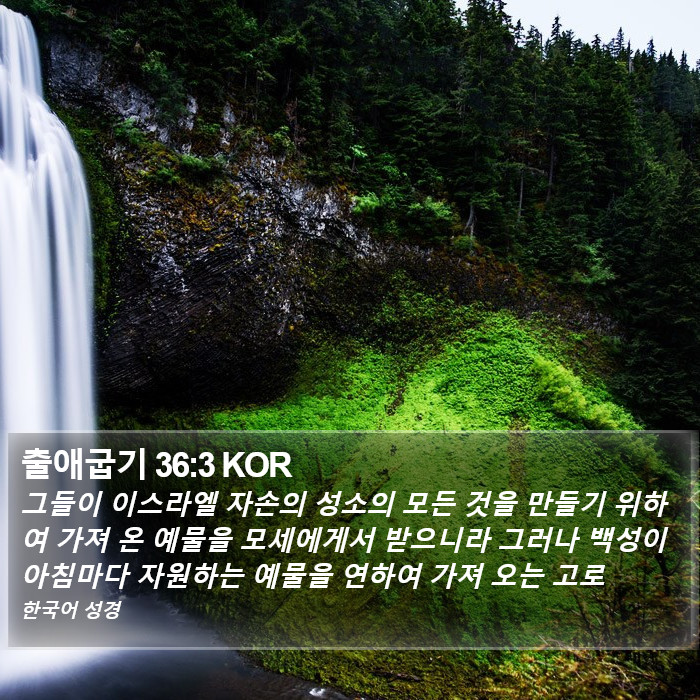 출애굽기 36:3 KOR Bible Study