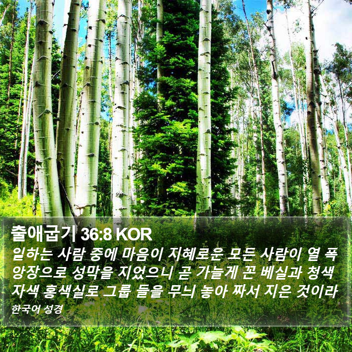 출애굽기 36:8 KOR Bible Study