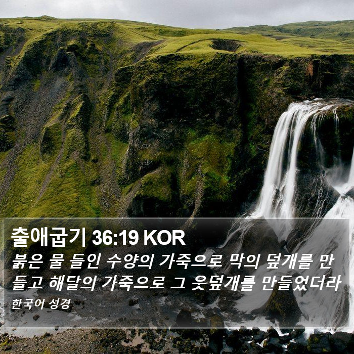 출애굽기 36:19 KOR Bible Study