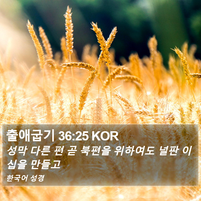 출애굽기 36:25 KOR Bible Study