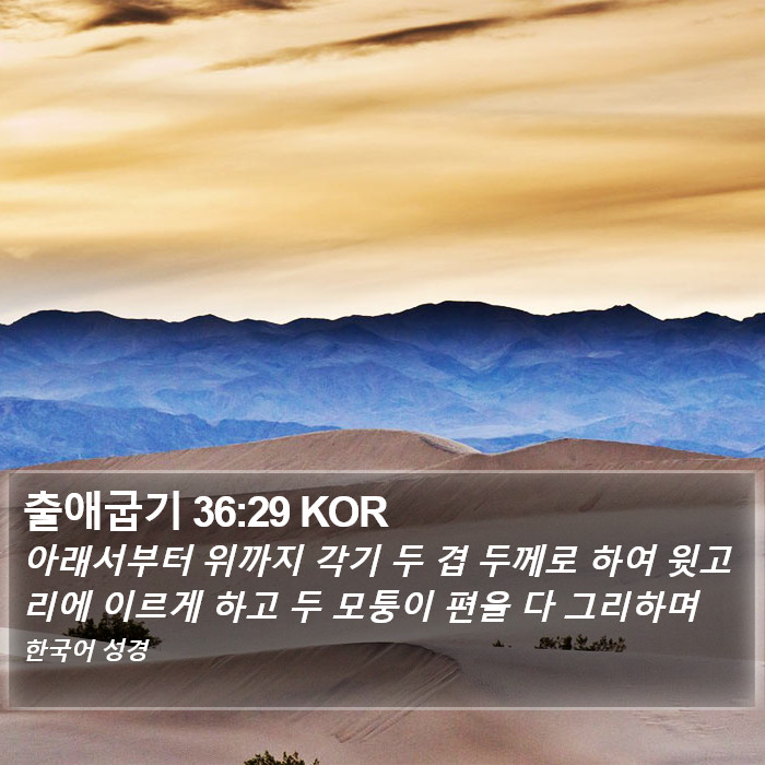 출애굽기 36:29 KOR Bible Study