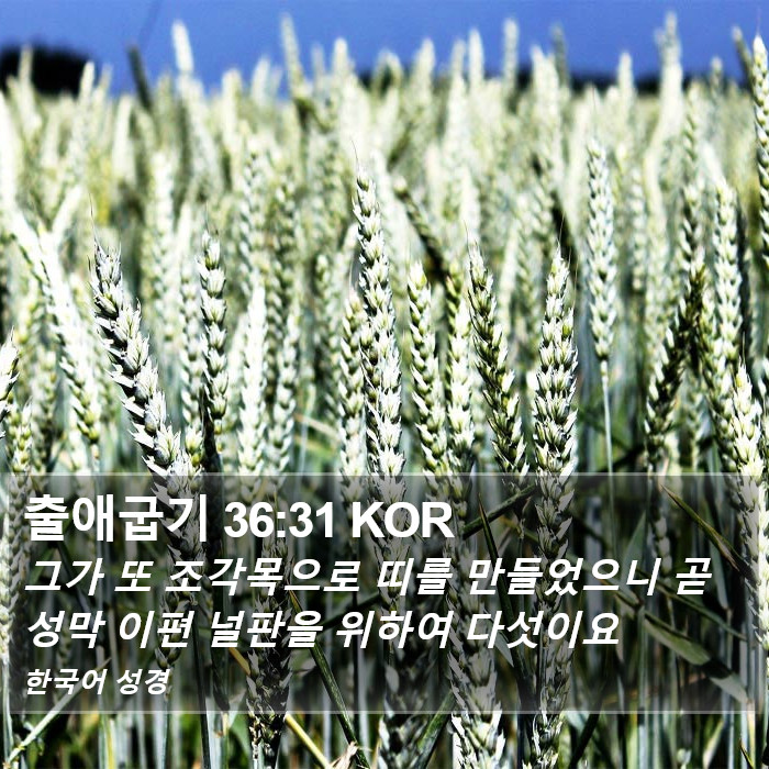 출애굽기 36:31 KOR Bible Study