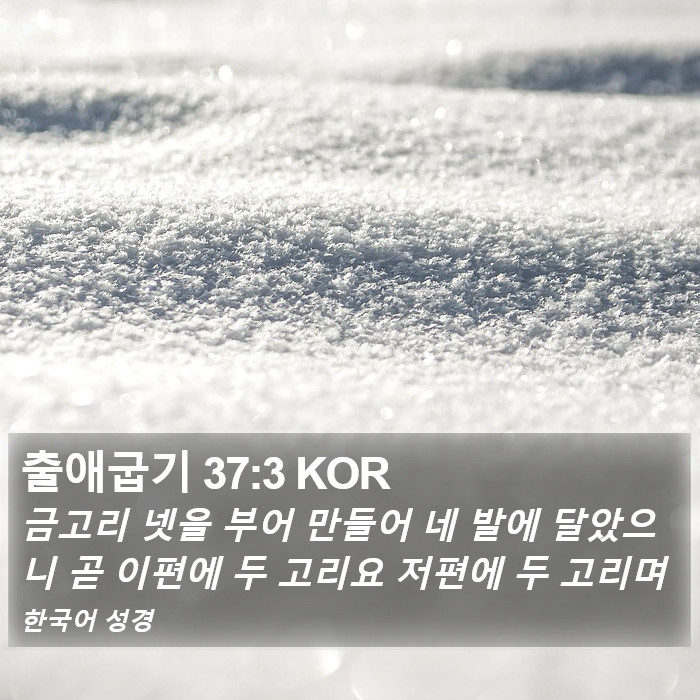 출애굽기 37:3 KOR Bible Study