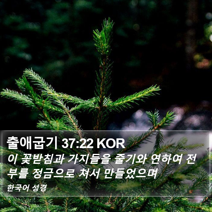 출애굽기 37:22 KOR Bible Study
