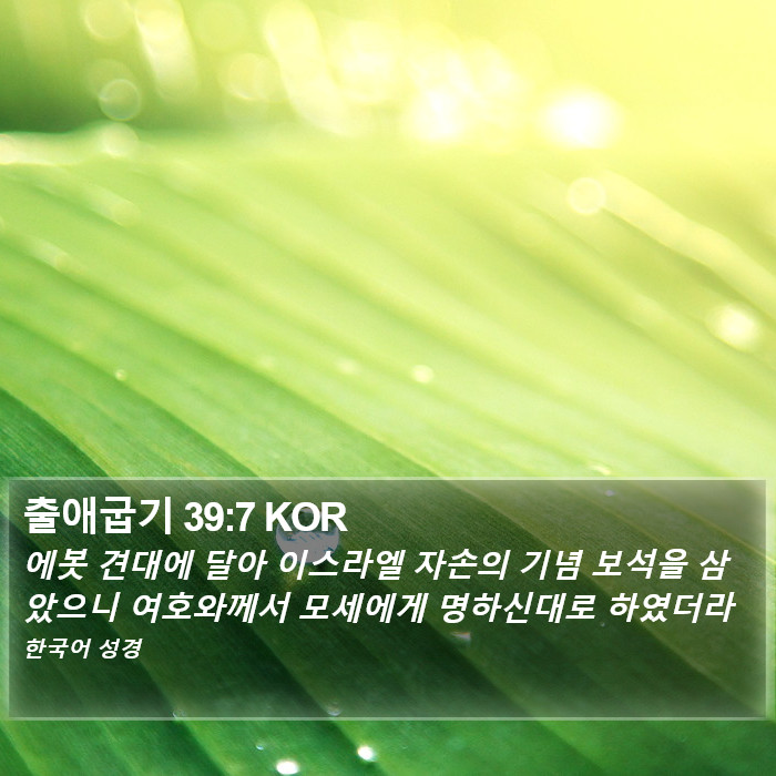 출애굽기 39:7 KOR Bible Study