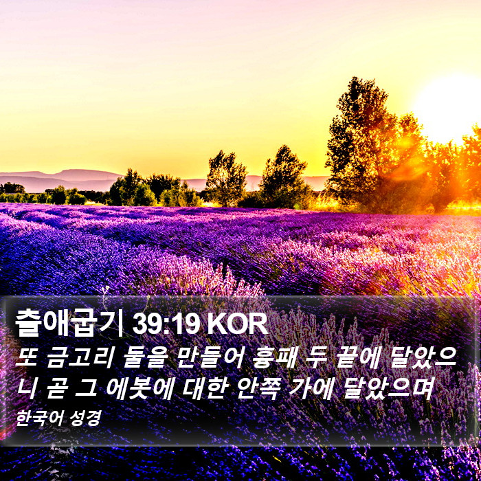 출애굽기 39:19 KOR Bible Study