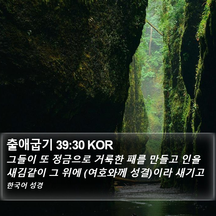 출애굽기 39:30 KOR Bible Study