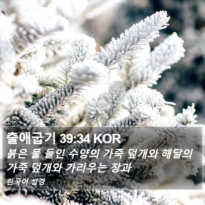 출애굽기 39:34 KOR Bible Study