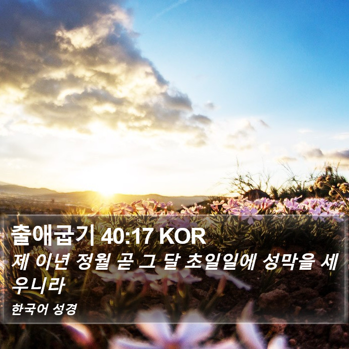 출애굽기 40:17 KOR Bible Study