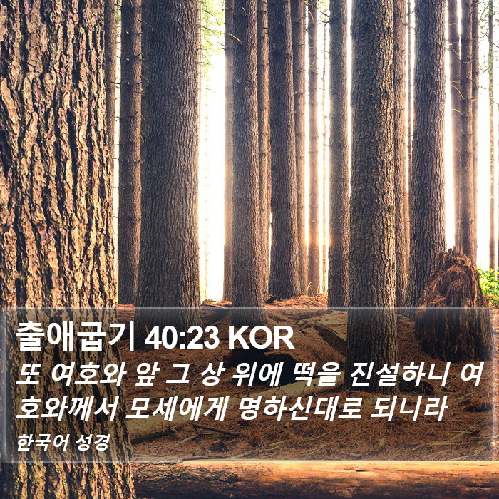 출애굽기 40:23 KOR Bible Study