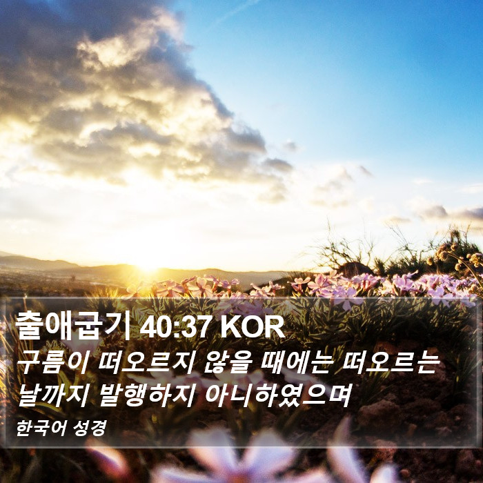 출애굽기 40:37 KOR Bible Study