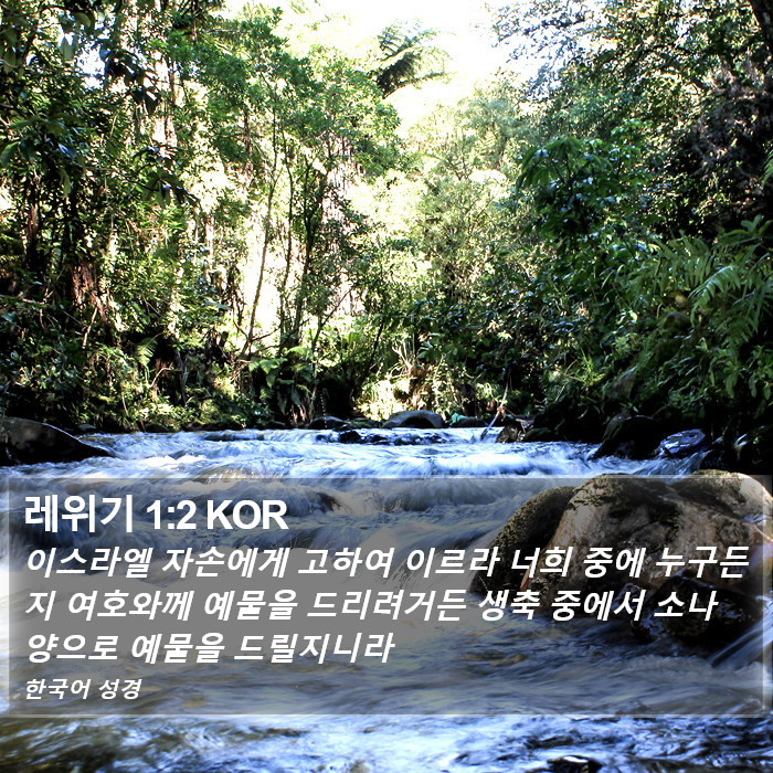 레위기 1:2 KOR Bible Study