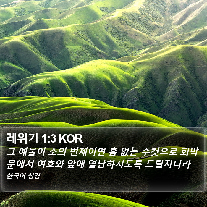 레위기 1:3 KOR Bible Study