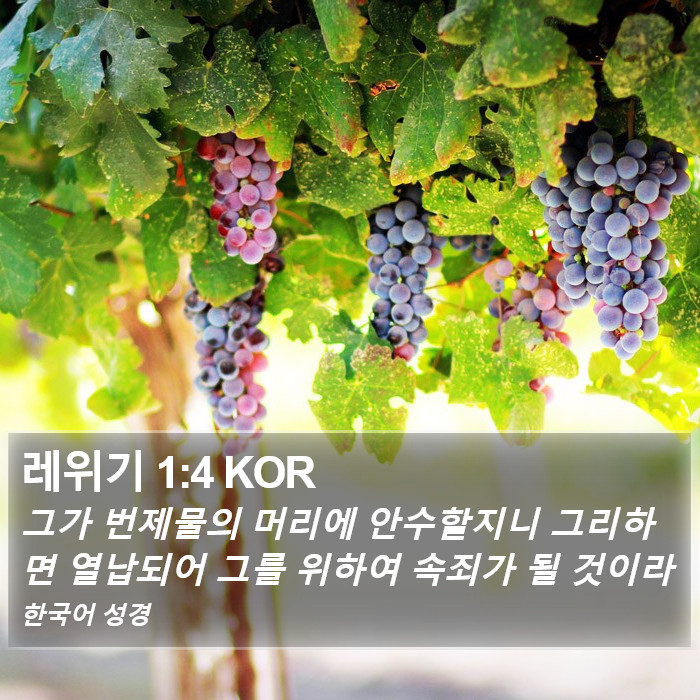 레위기 1:4 KOR Bible Study