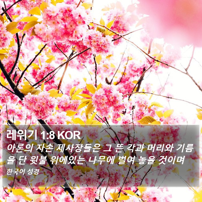 레위기 1:8 KOR Bible Study