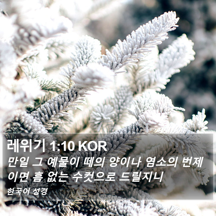 레위기 1:10 KOR Bible Study