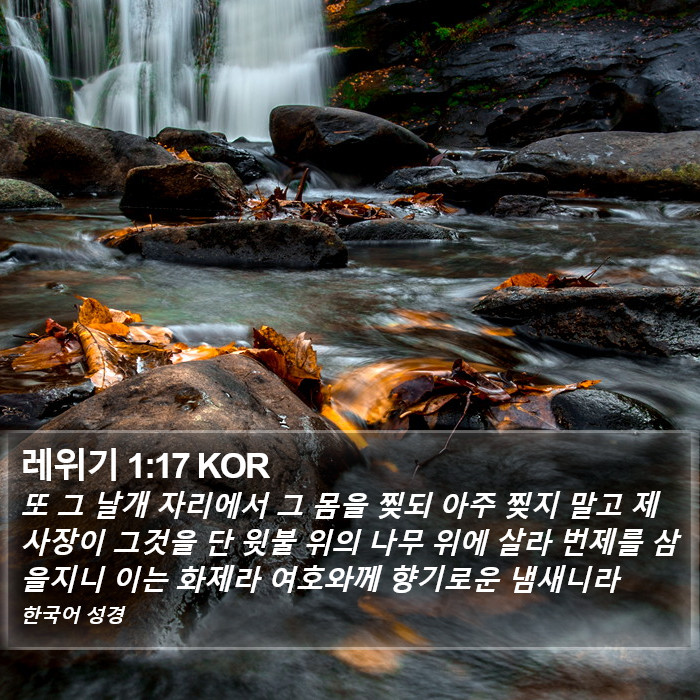 레위기 1:17 KOR Bible Study