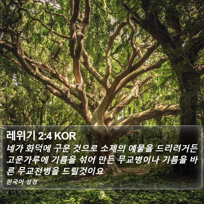 레위기 2:4 KOR Bible Study