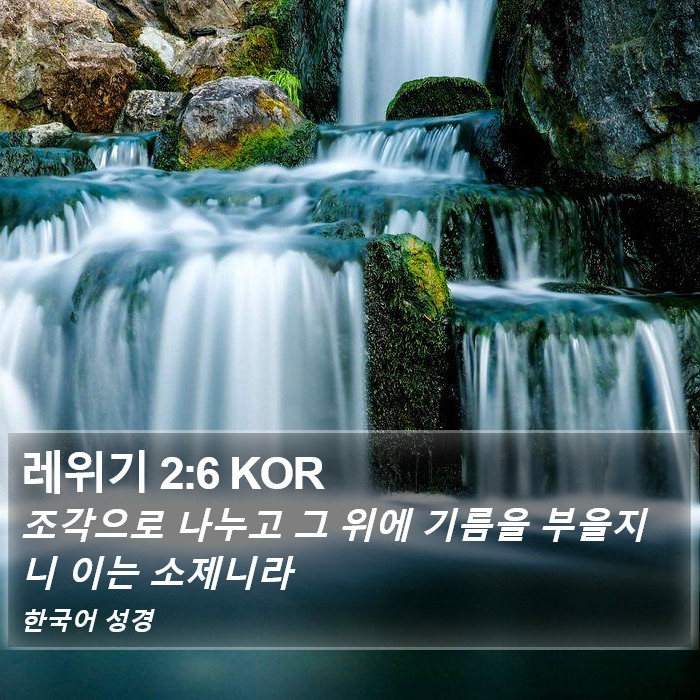 레위기 2:6 KOR Bible Study