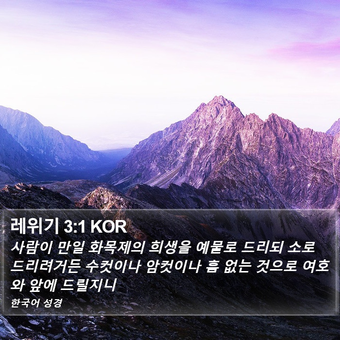 레위기 3:1 KOR Bible Study