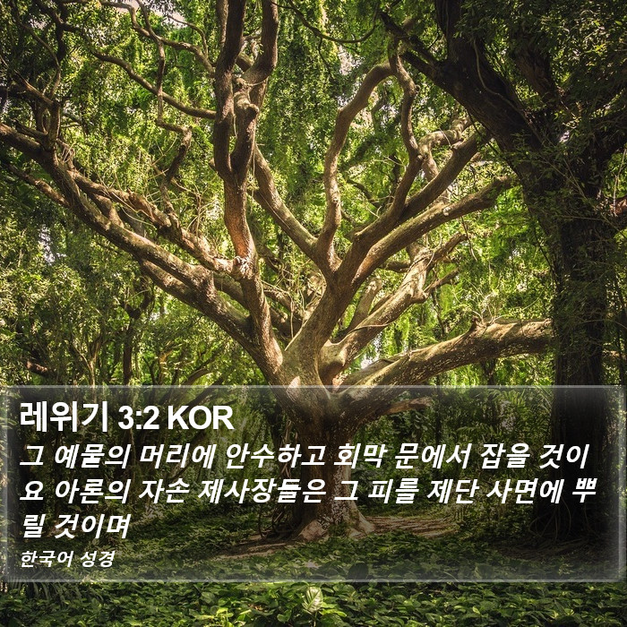 레위기 3:2 KOR Bible Study