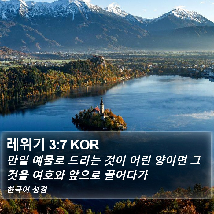 레위기 3:7 KOR Bible Study