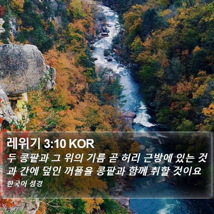 레위기 3:10 KOR Bible Study