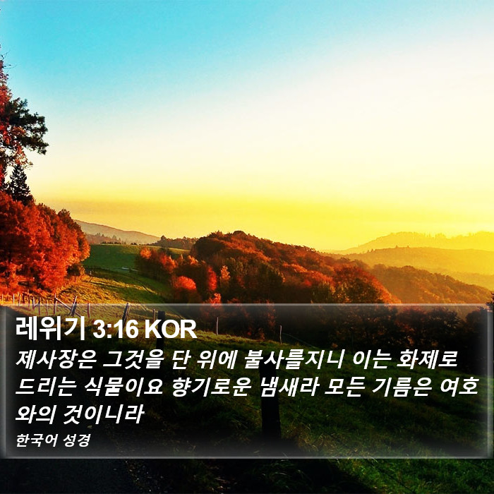 레위기 3:16 KOR Bible Study