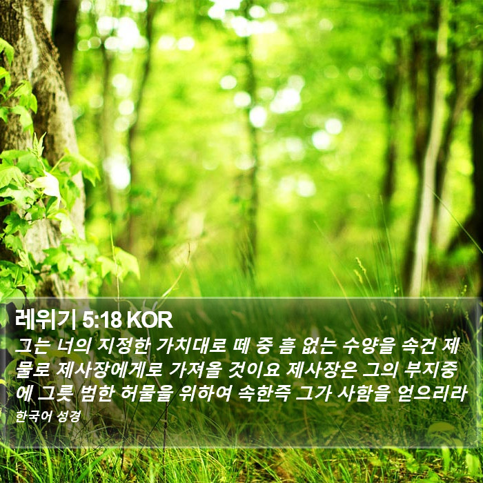레위기 5:18 KOR Bible Study