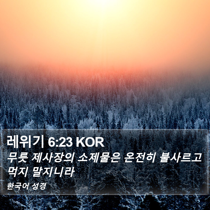 레위기 6:23 KOR Bible Study
