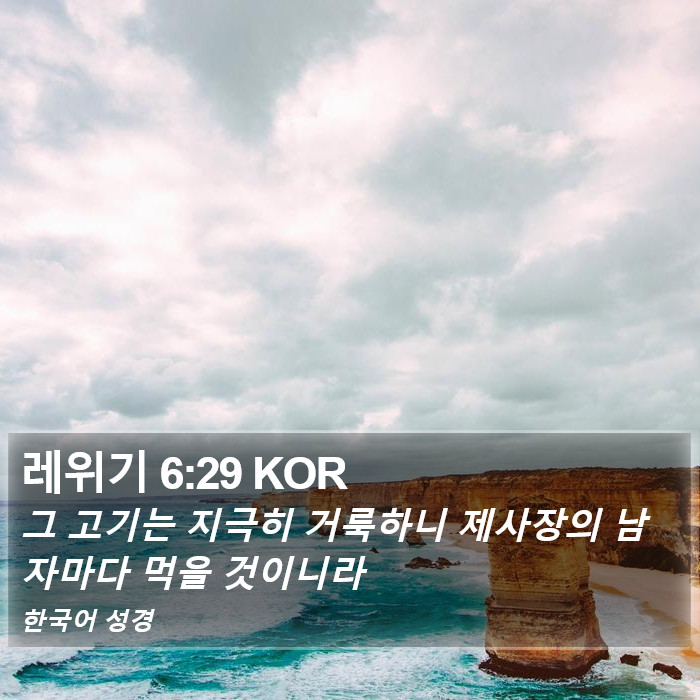 레위기 6:29 KOR Bible Study